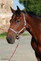 /album/fotogalerie/rukr-portret1-jpg1/